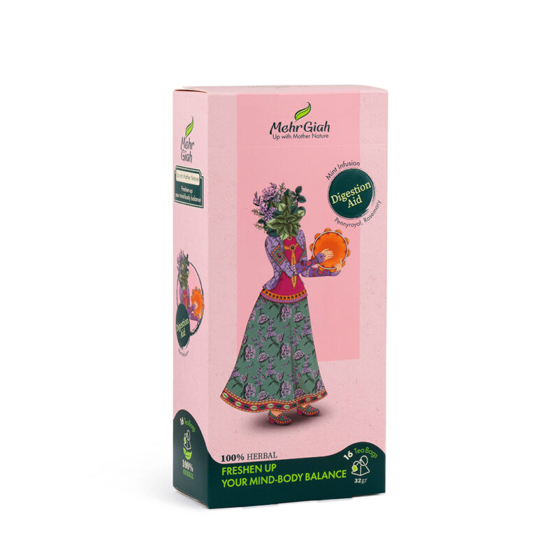 خرید --دمنوش-گوارش-و-کمک-به-هضم-مهرگیاه-2-دمنوش-مخلوط--نعنا-16-عددی--مهرگیاه